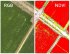Квадрокоптер DJI Phantom 4 Multispectral + Мобильная станция D-RTK 2 High Precision GNSS в Москве