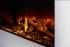 New Forest 1600 with Deluxe Real logs в Москве