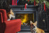 Портал Dimplex Coventry Graphite Grey - Серый графит в Москве
