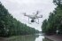 Сельскохозяйственный квадрокоптер DJI Phantom 4 мультиспектральный в Москве