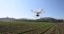 Сельскохозяйственный квадрокоптер DJI Phantom 4 мультиспектральный в Москве